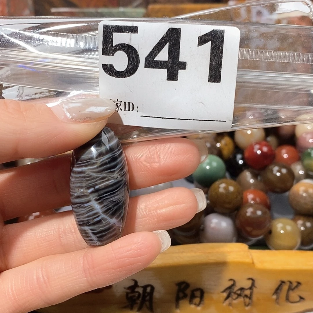 未镶嵌天然北票树化玉吊坠硅化玉