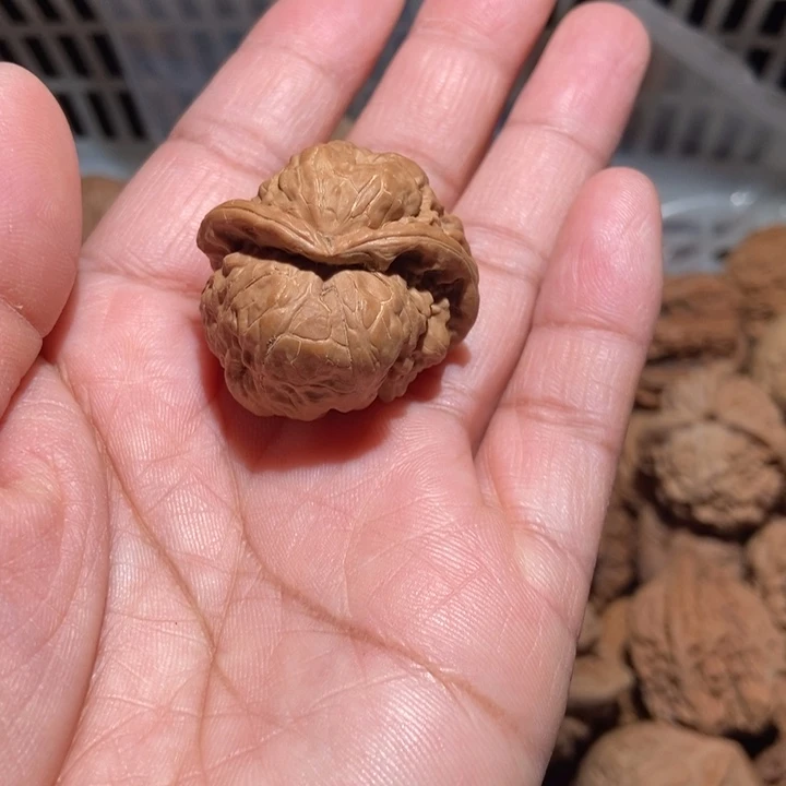 小***发核桃蛤蟆头蛇头尺寸32全品