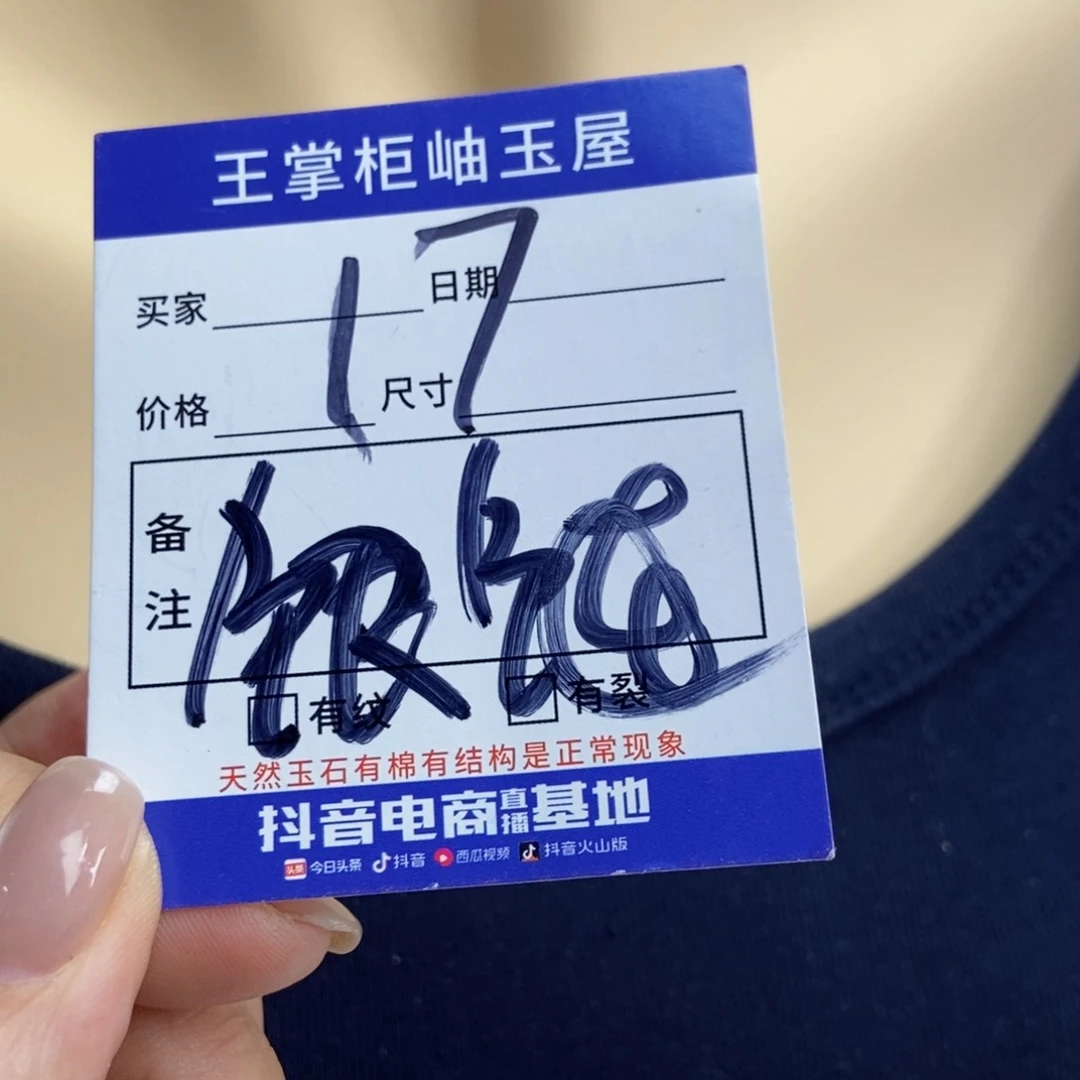 银S925镶嵌颈饰水晶