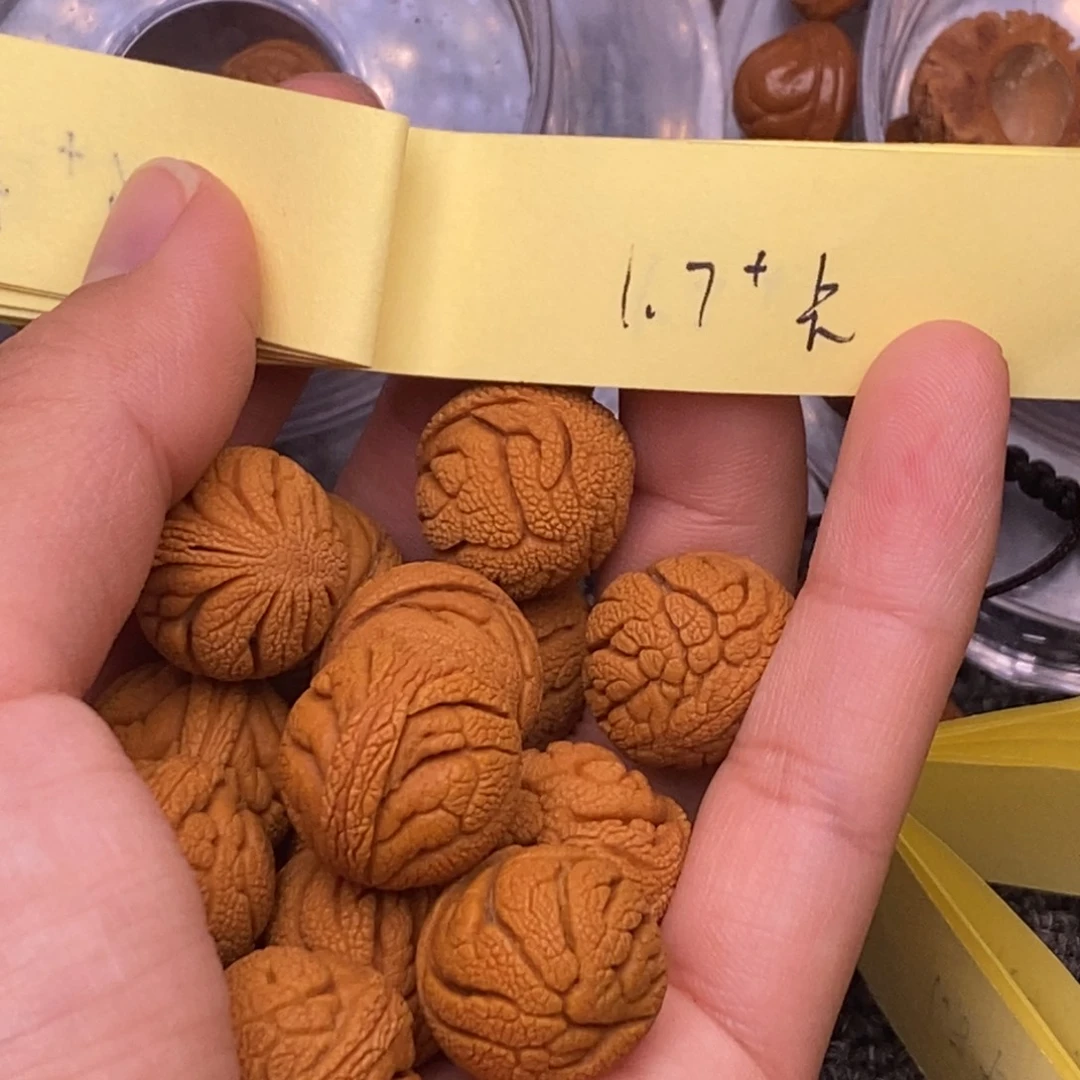 秦岭山脉龙纹桃核 14