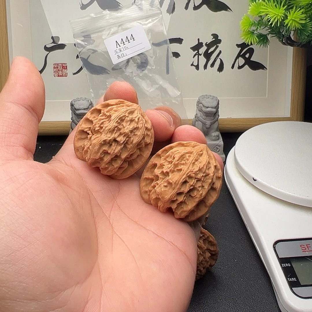 A444昌闷野狼38尺全品