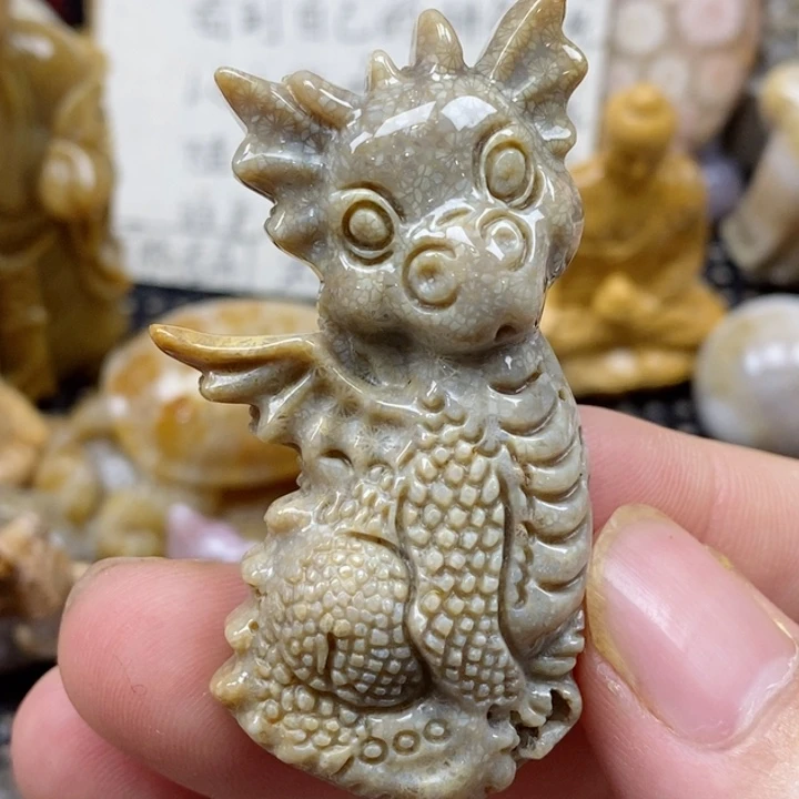 颈饰未镶嵌硅化珊瑚（珊瑚玉）