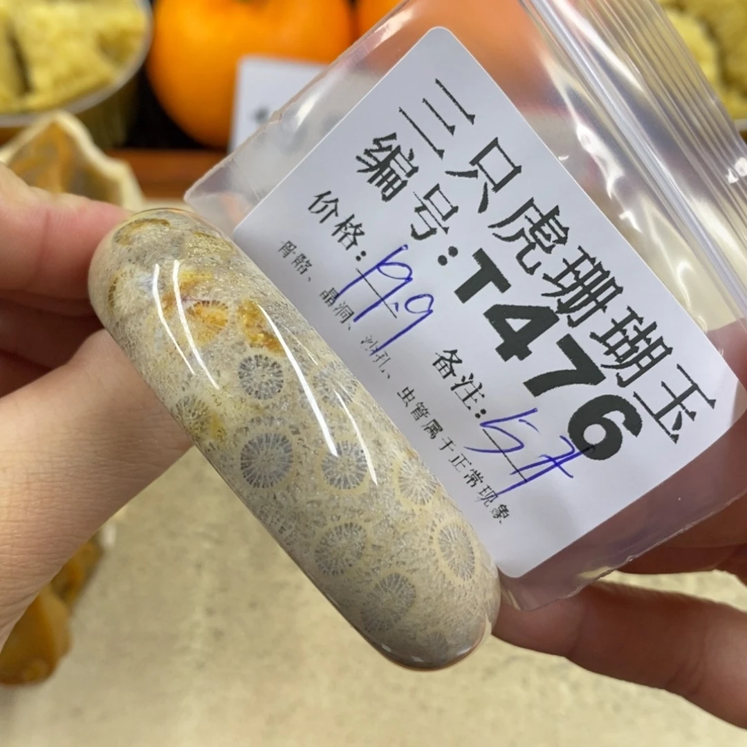 硅化珊瑚（珊瑚玉）1未镶嵌?**?