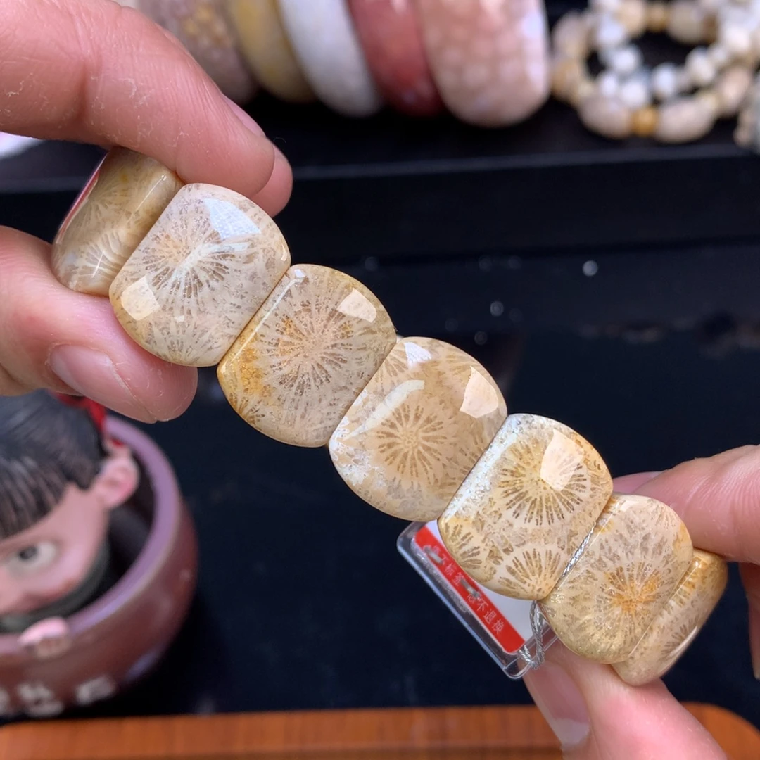硅化珊瑚（珊瑚玉）未镶嵌颈饰105号200漏100大花花