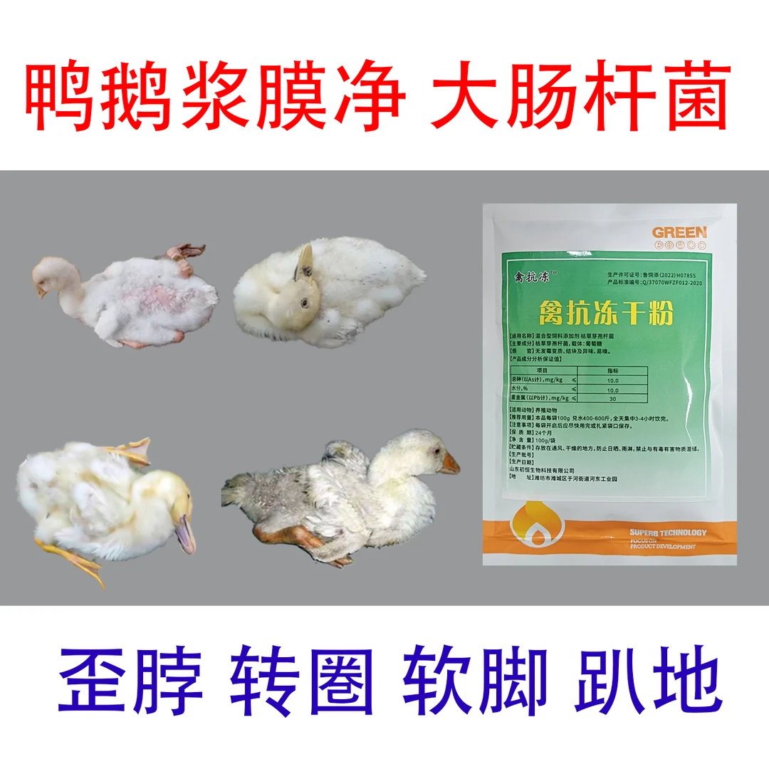 禽抗冻干粉专用抗病毒甩头咳喘怪叫拉稀腿软转圈仰脖脚打焉没精神
