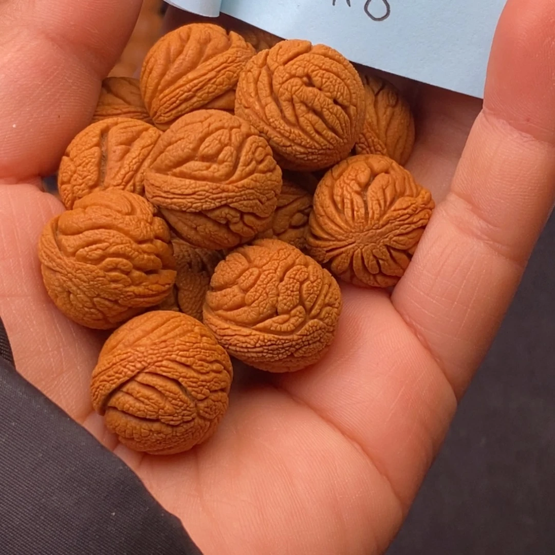 秦岭龙纹桃核14颗