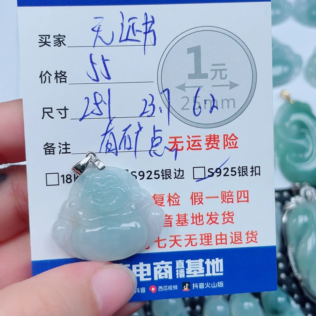 翡翠银S925镶嵌颈饰