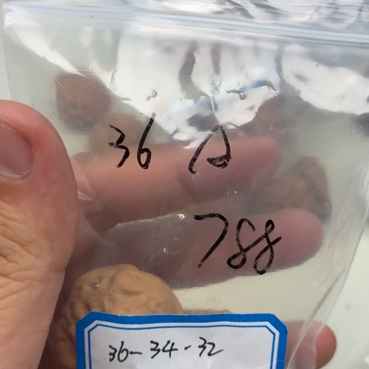 文玩核桃把件36古蟾