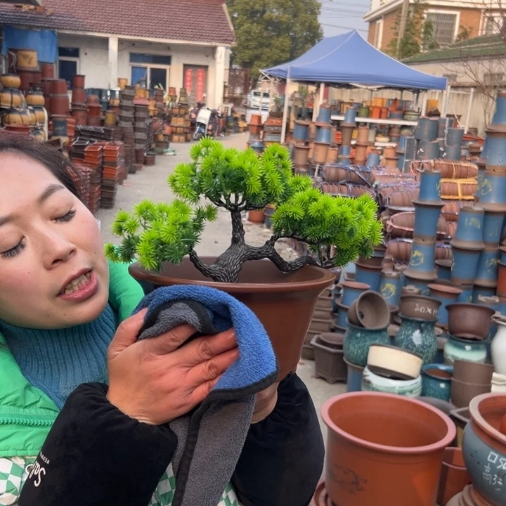 红泥碗大一个花盆花盆