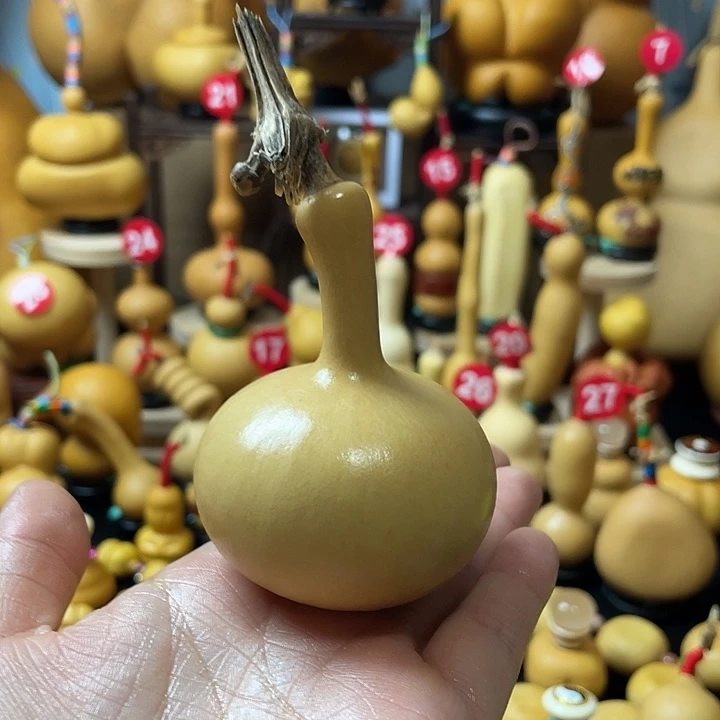 ****梦葫芦丝和我说话真的