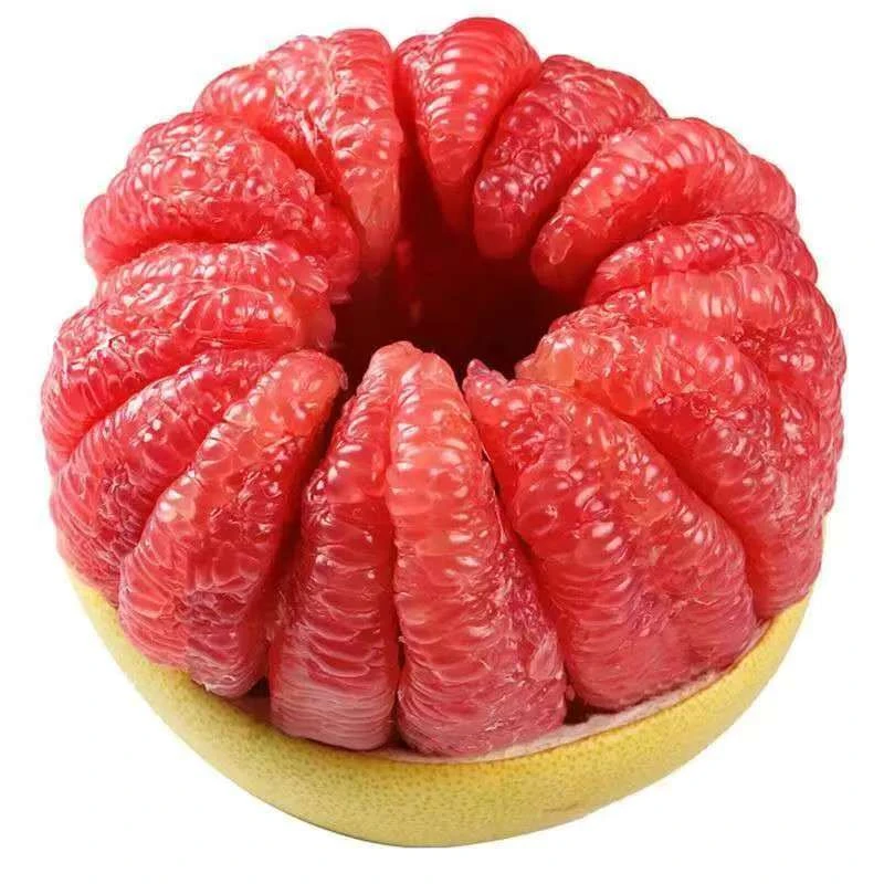 四川广安本地有机红心柚十斤，鲜嫩多汁爽脆可口