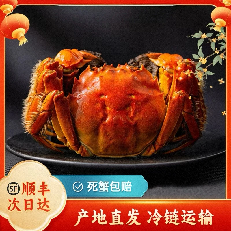 【活蟹】蟹霸王 苏州河蟹+母蟹2.9两-3.2两/只*六/八/十只装+鲜活发货，京东顺丰空运明日达