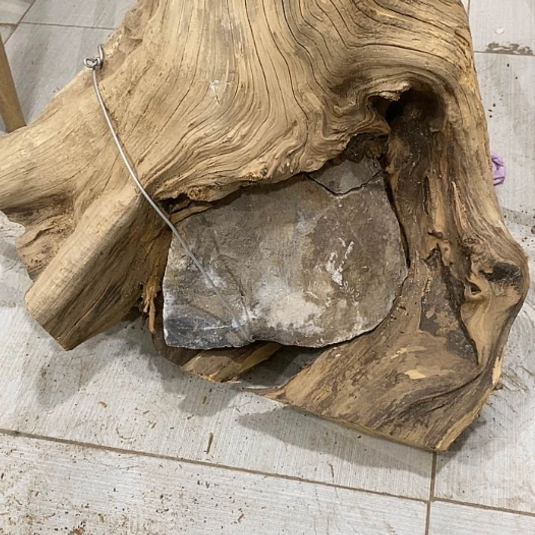 【闪购商品】柏木龙****艺我们都是好孩子