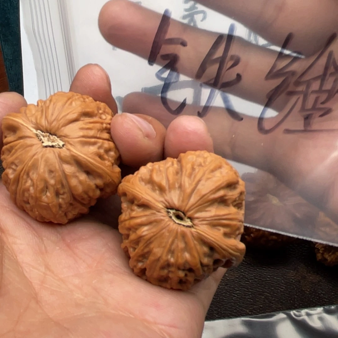 核桃手串/手链573753375753753735