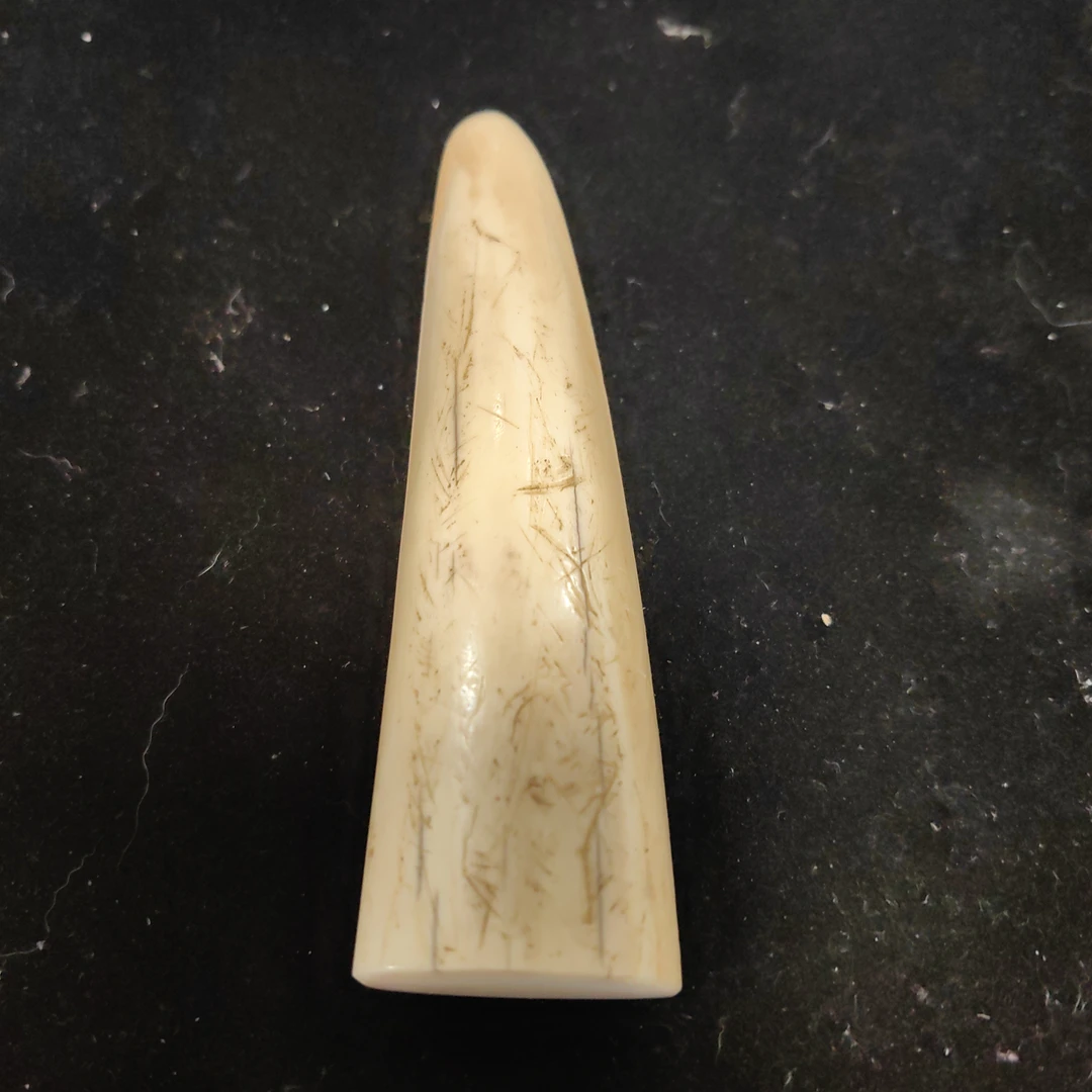 猛犸猛犸虬饼子WW200