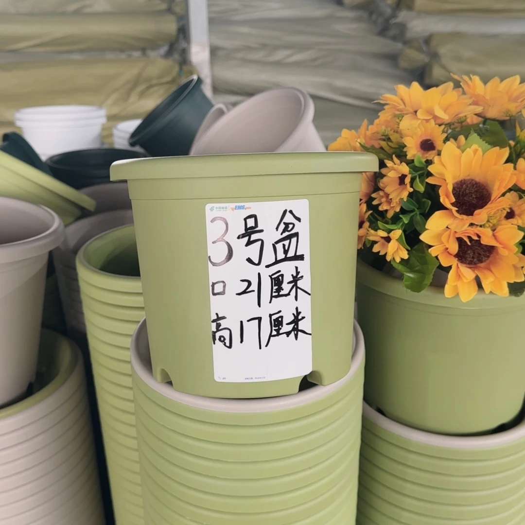 塑料四季3号果绿4个带拖