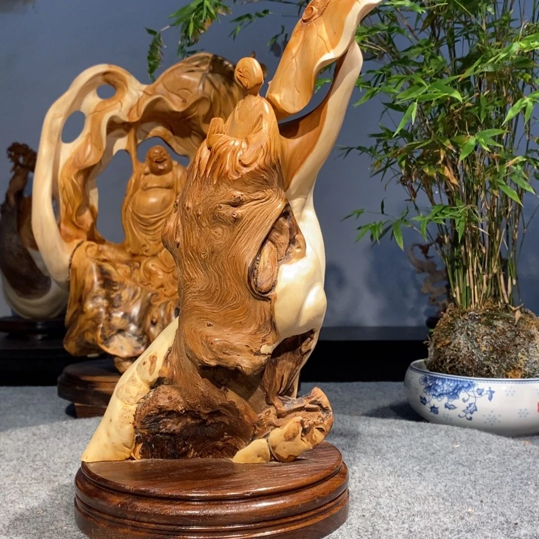 柏木（崖柏）太行崖柏
