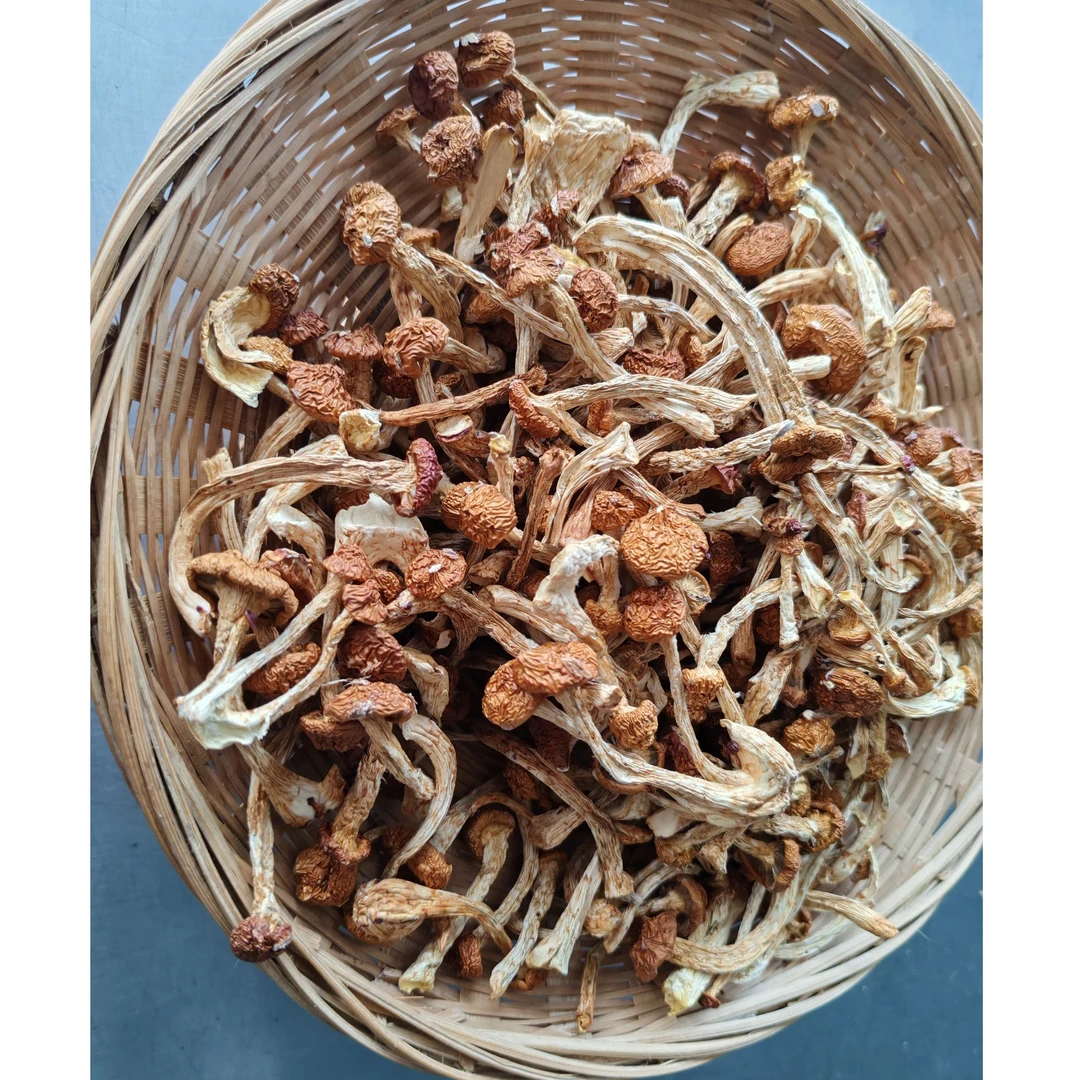 新货山货滑子菇煲汤炒菜食用菌干货