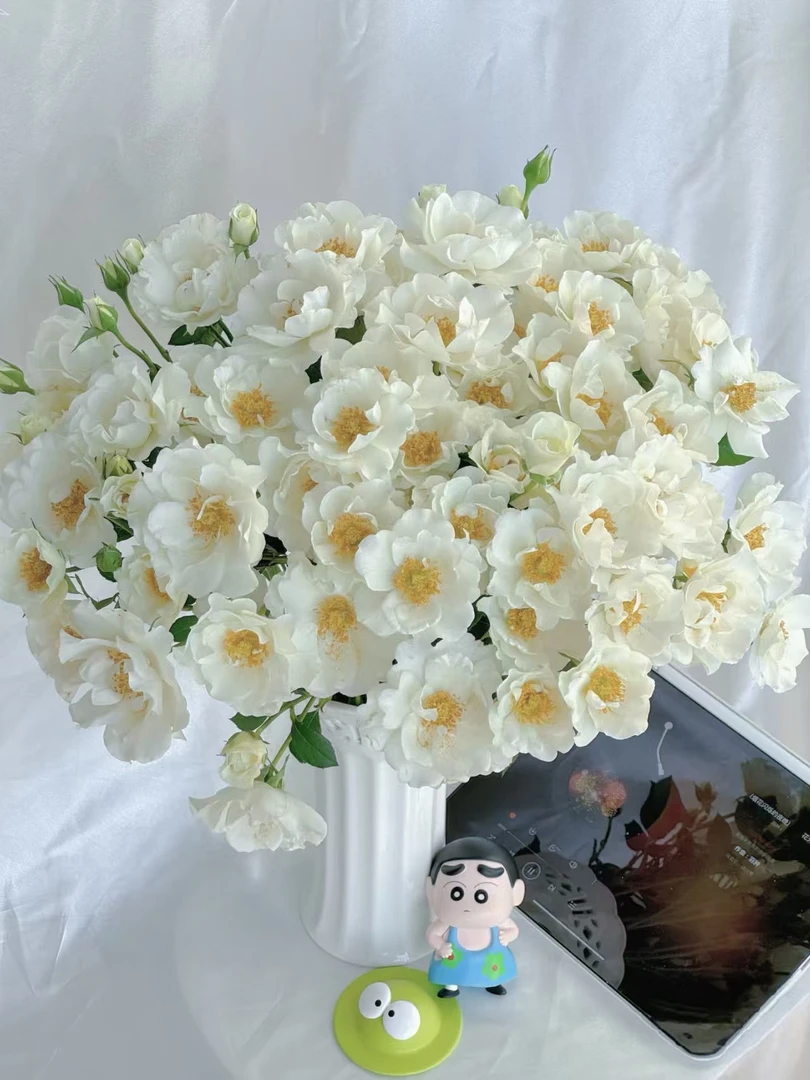 【花汀私享】婚纱-稀有多头玫瑰（注意带包装醒花哦~）