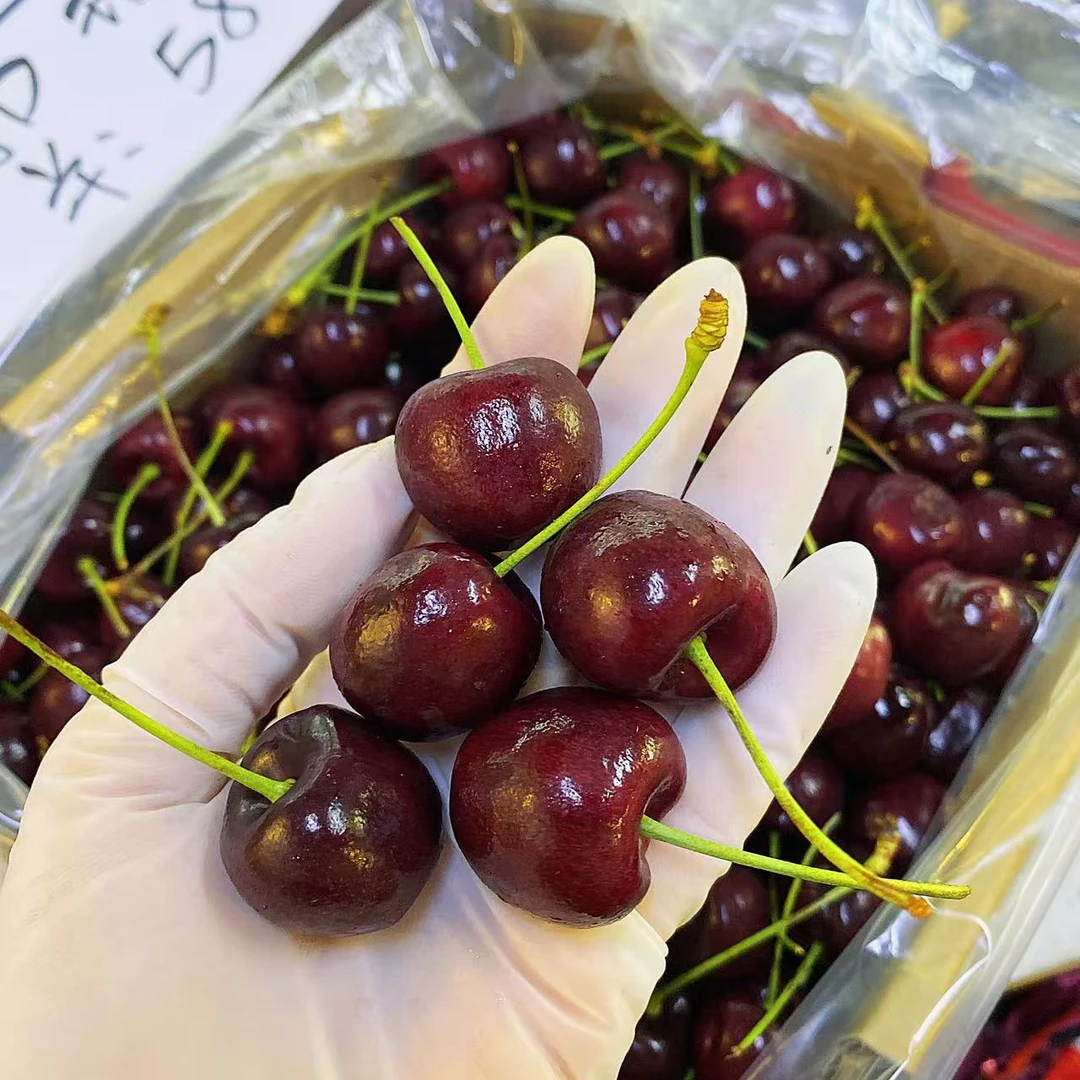 『产地智利』新鲜单J车厘子500g