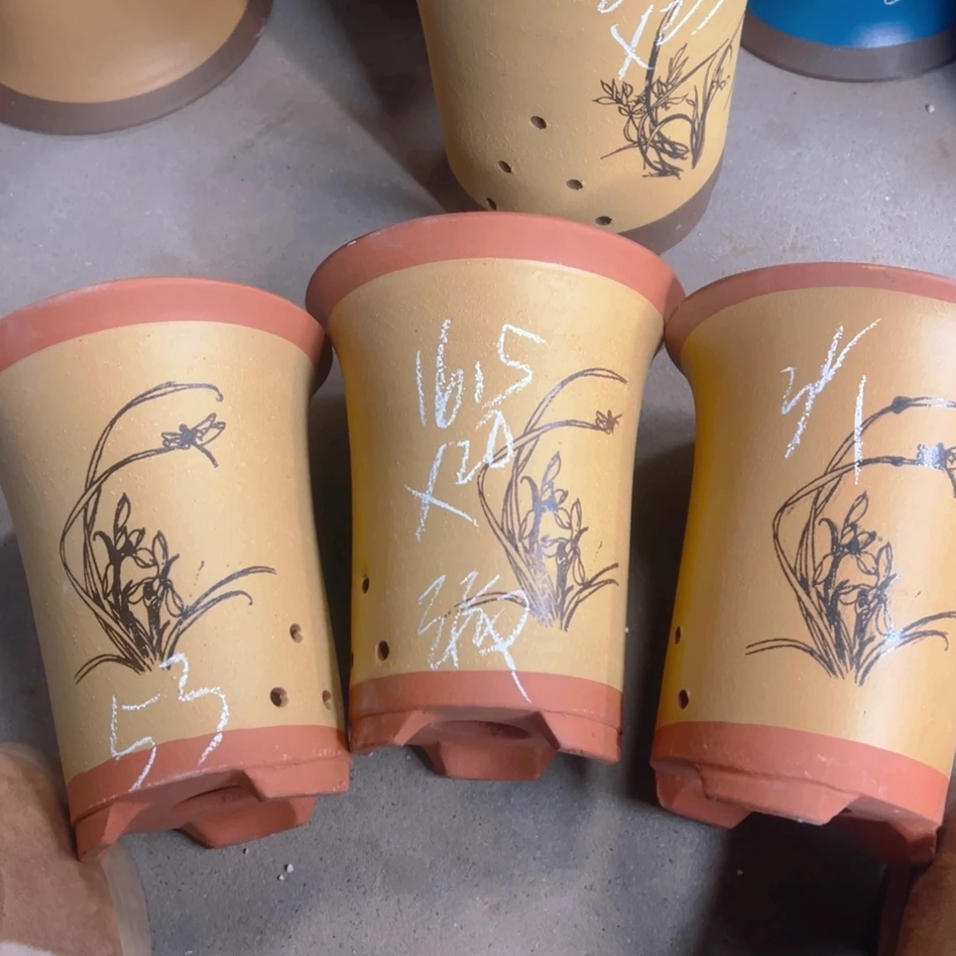 紫砂53……………………………………