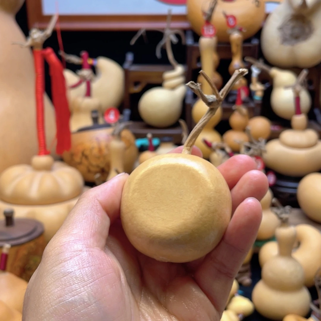 小**?大自然的秘密是什么呢