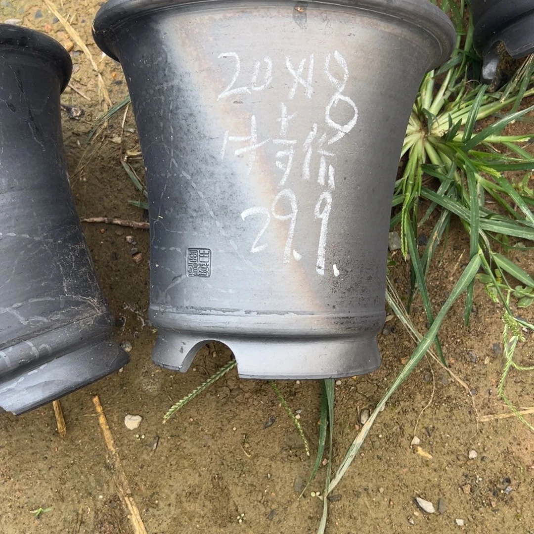 特价色差矮七寸口径20高度18