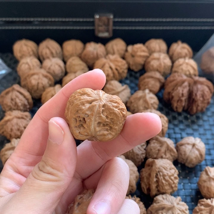 保***馆把件文玩核桃半壁