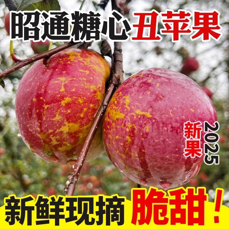【17个糖+】云南昭通丑苹果糖心苹果苹果脆甜多汁新鲜采摘