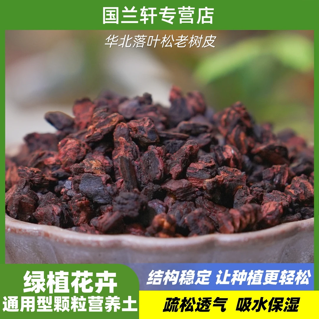 老松树皮养兰花蝴蝶兰花店君子兰、兰科专用营养土