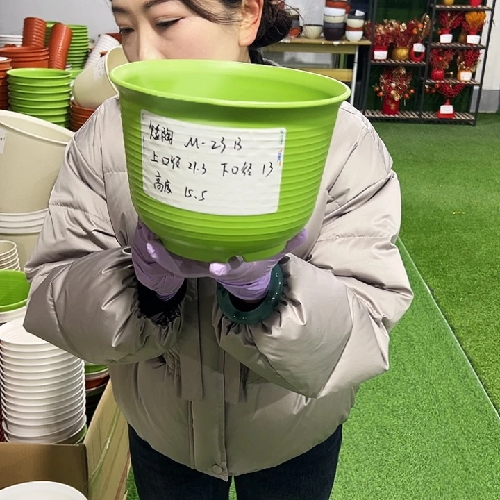 正品矮陶口21.3高15.5果绿8只无托