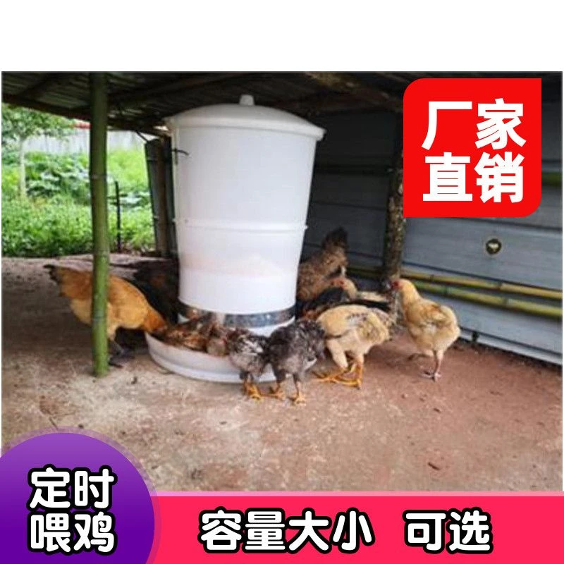 养鸡全自动定时喂鸡器饲料机器神器新代户外食器自动投喂器鸡家禽