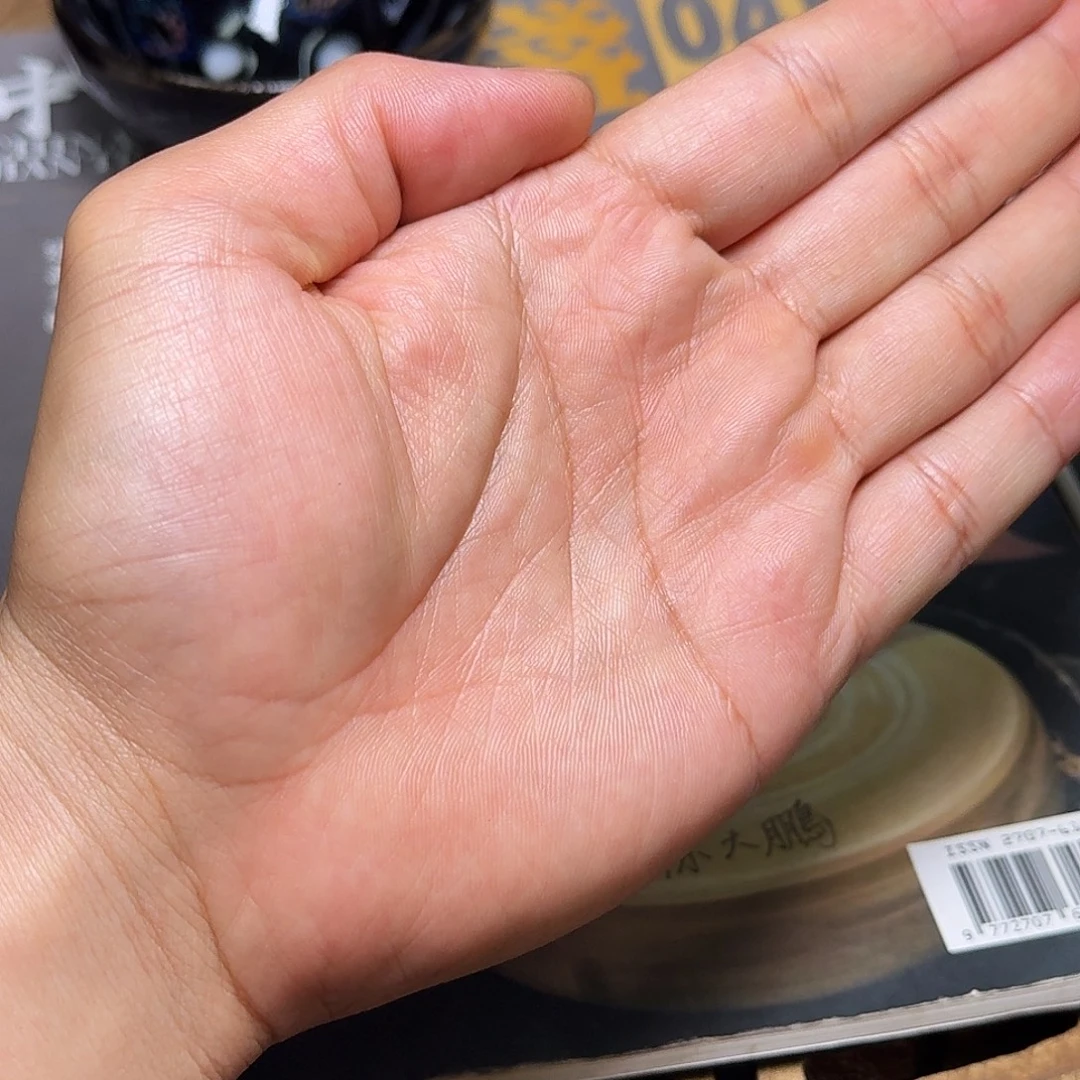 达***子茶盏6泡茶盏001福利006
