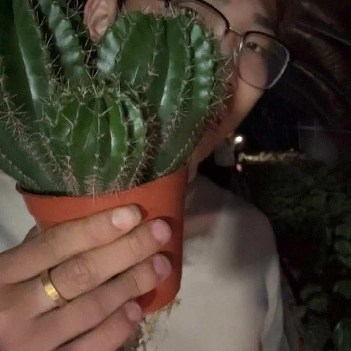 绿***榄无花朵彩草哈哈哈哈哈哈