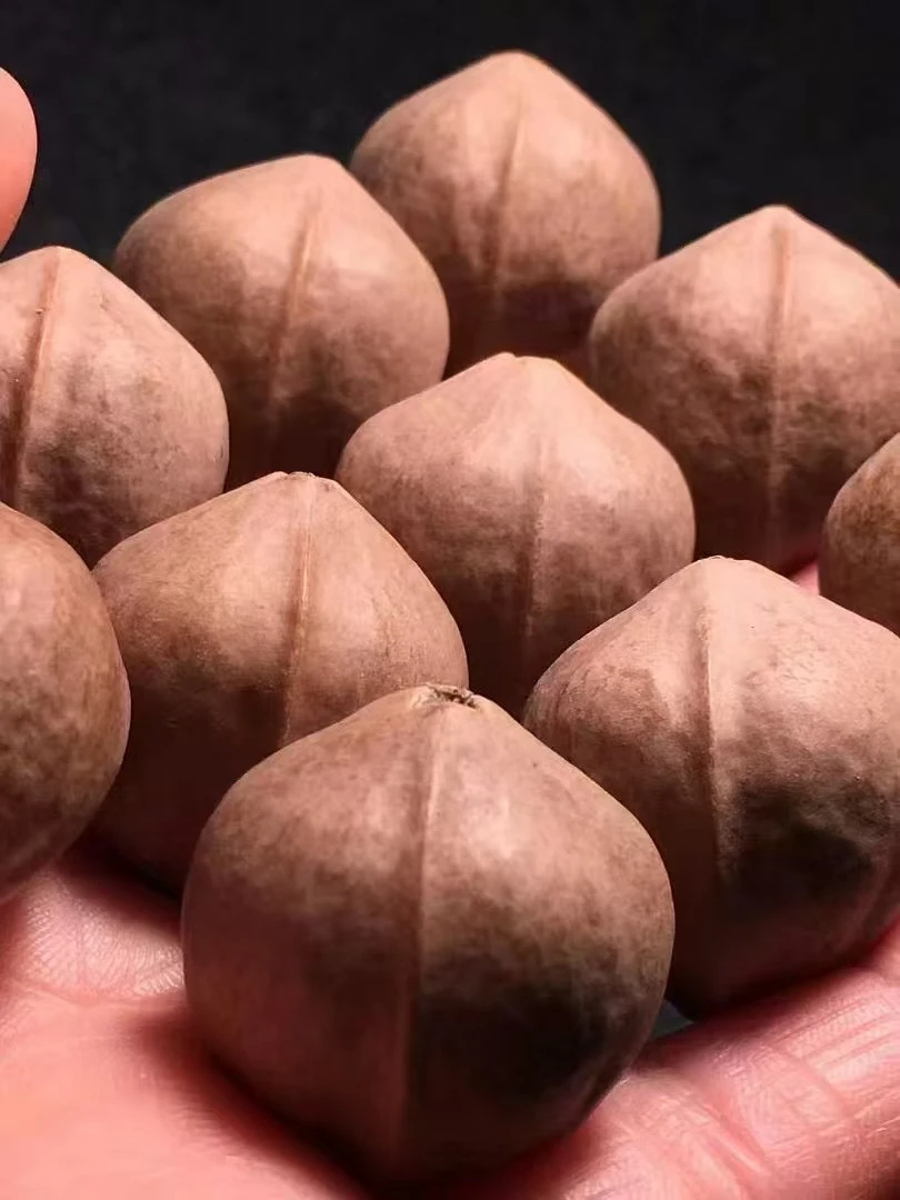 （2.0 小象铁核）梅林铁核 可雕刻