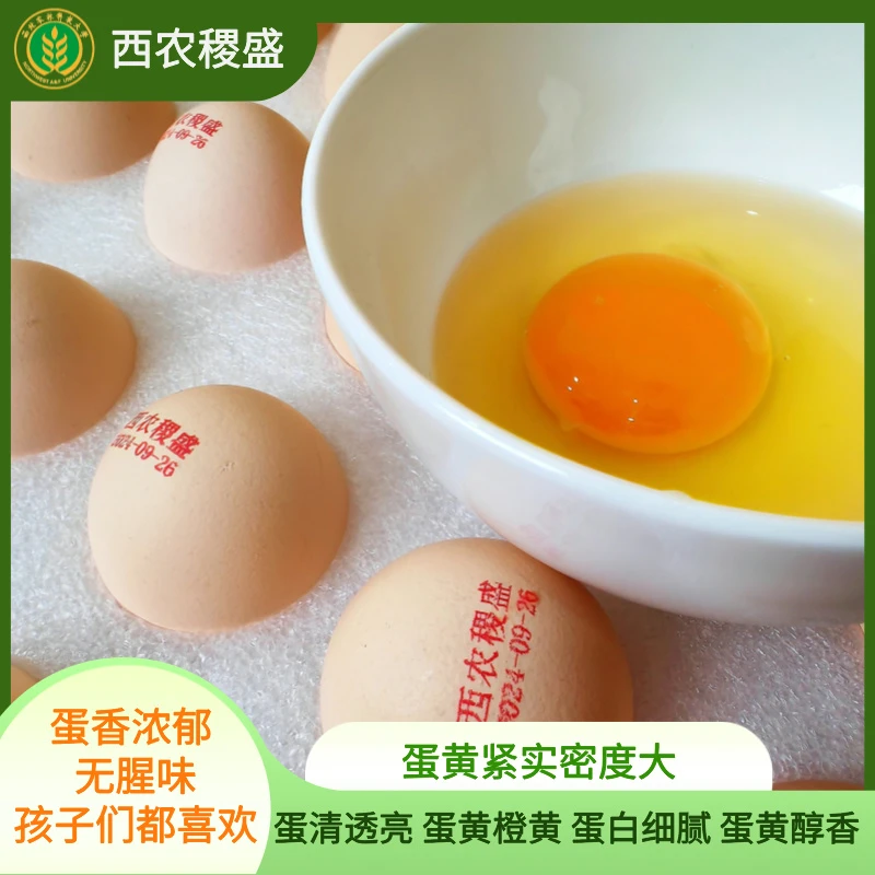 西农稷盛杜仲无抗可生食鸡蛋985/211农业大学无菌蛋20枚