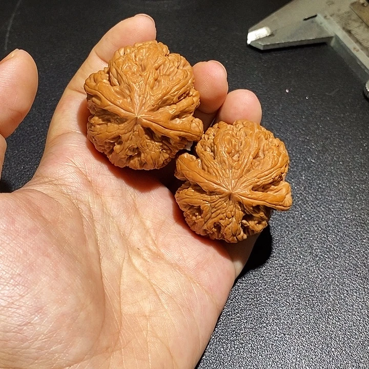 木***来手串/手链核桃41 粗筋