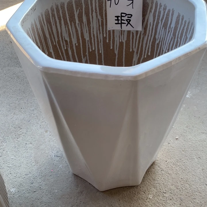 花盆里的小猫咪们都好可爱啊哈哈哈哈哈哈哈