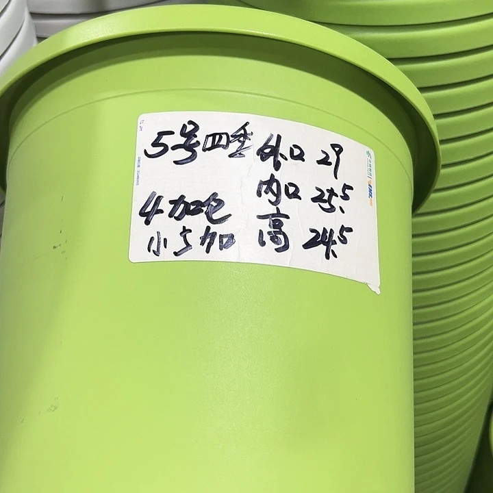 特价5号口29高24.5白色5只无托