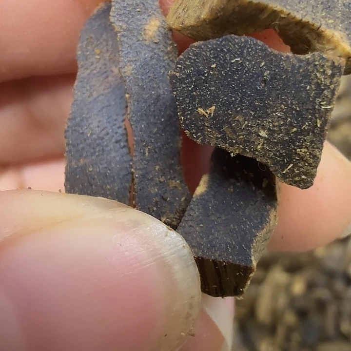 沉香碎屑沉香103克小碎料绿棋楠多样性发一