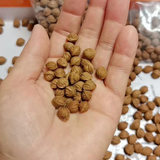 Z***n木质类纯野生原生态手串挂件