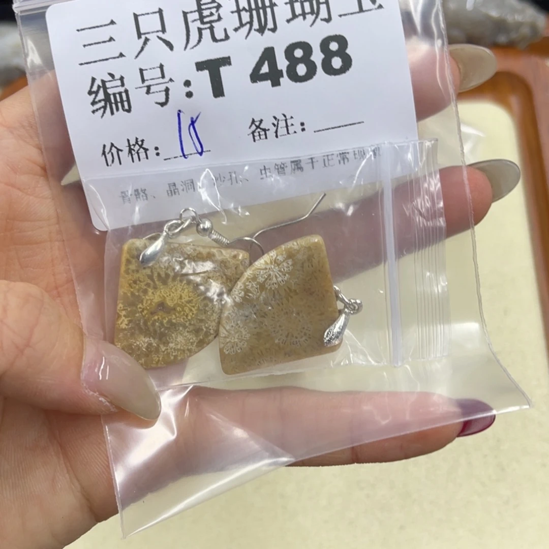 梦***瑶硅化珊瑚（珊瑚玉）h未镶嵌