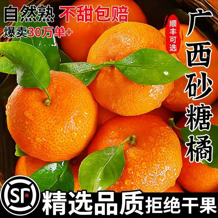 正宗广西砂糖橘新鲜水果当季现摘蜜桔金秋沙糖桔橘子9斤贡柑整箱