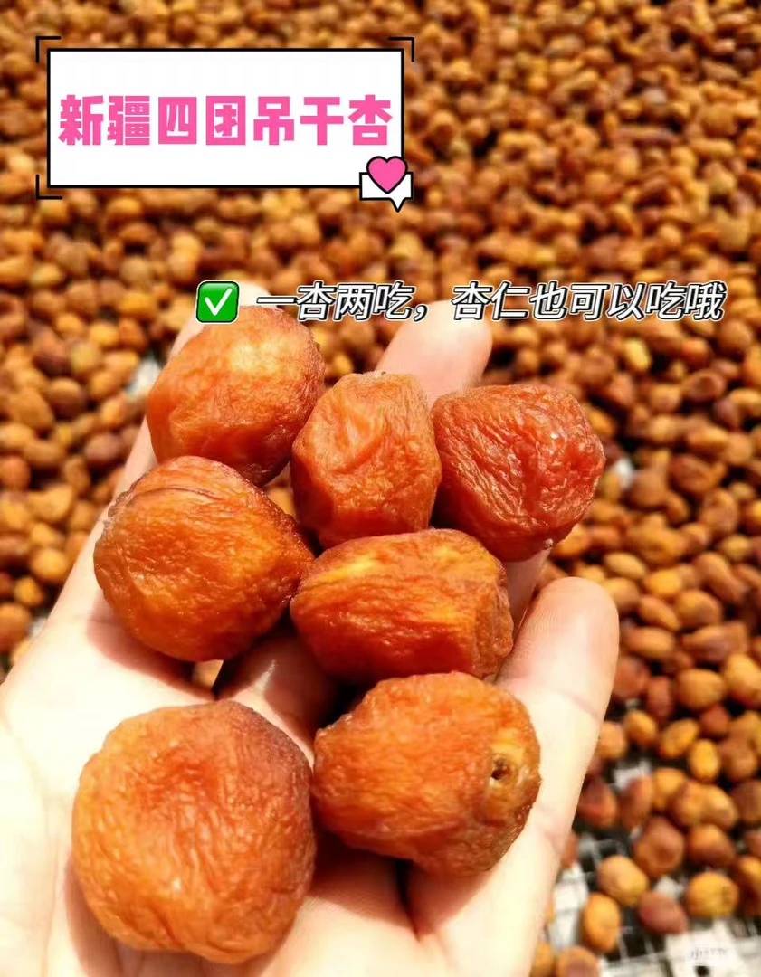 新疆直发【新疆四团吊干杏 无添加剂 不添加蔗糖】500g/1000g