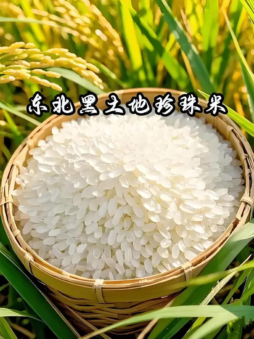 【10斤20斤屯】东北黑龙江大米口齿留香颗粒饱满整袋发货01