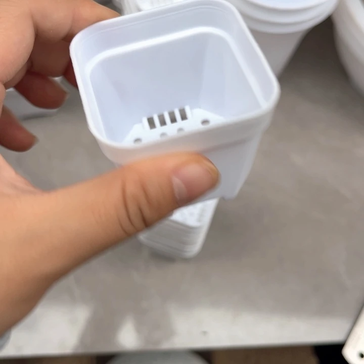 白方口5高5一组20个