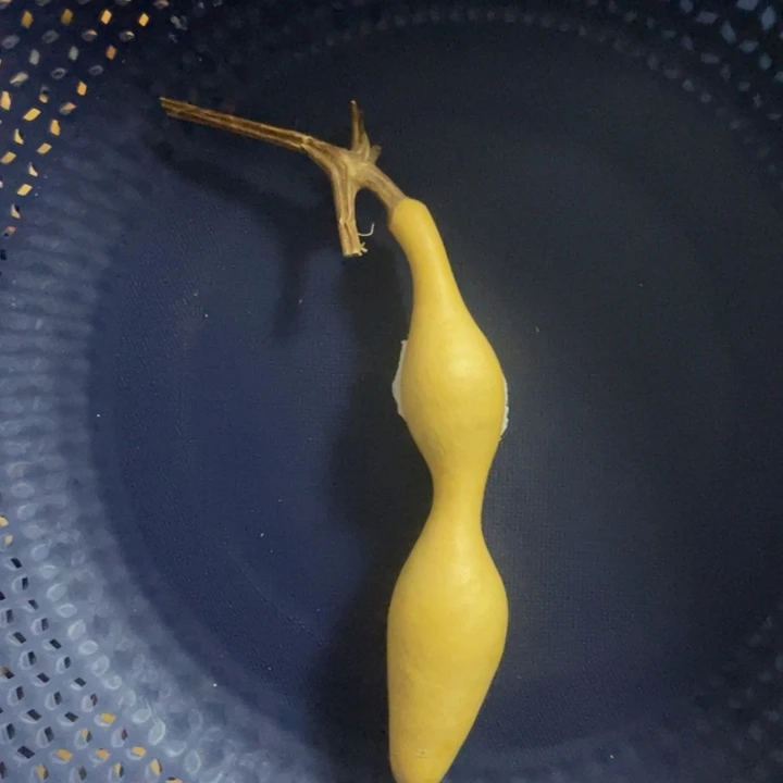 蚂蚁杆子默认微瑕