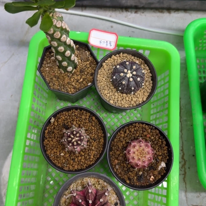 哈哈哈哈哈哈哈哈哈哈