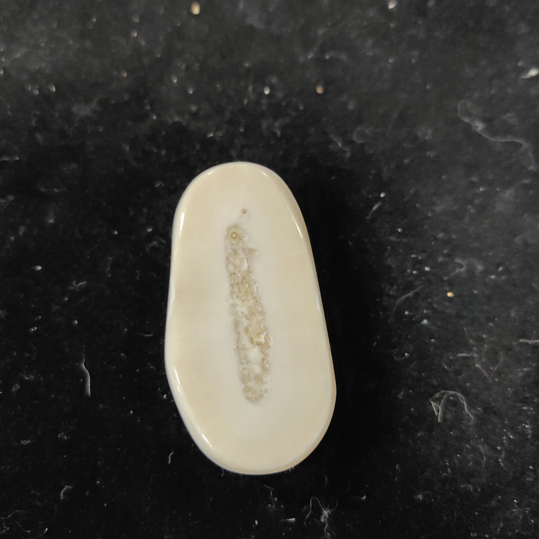 猛犸猛犸虬饼子WW60