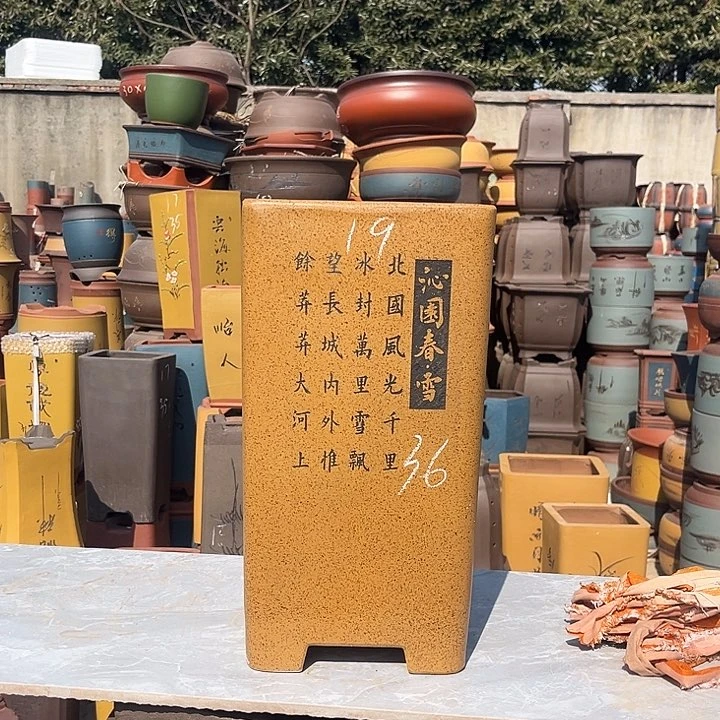 紫砂紫砂花盆盆栽